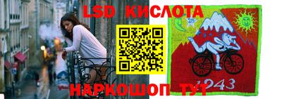 скорость Кингисепп