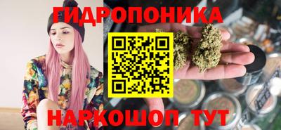 скорость Кингисепп