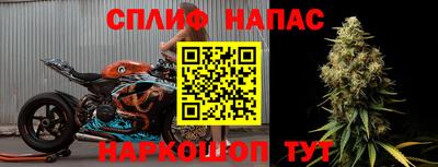 скорость Кингисепп