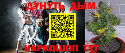 дурь Кимры