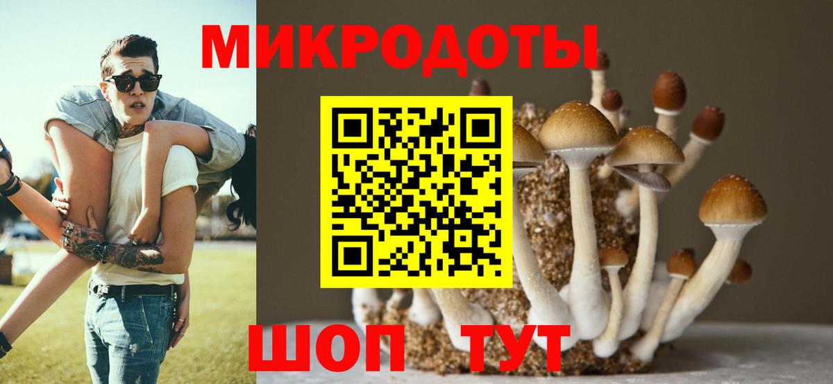 Чапаевск  как найти наркотики  Вход с VPN  Псилоцибиновые грибы GOLDEN TEACHER  Псилоцибиновые грибы Cubensis 